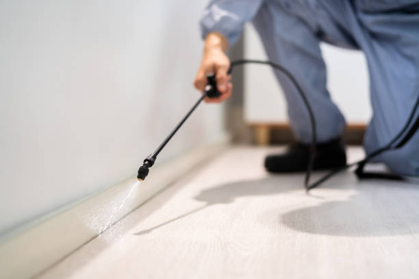 Licensed Exterminator service in North Lakeport, CA - Show Me Pest Control