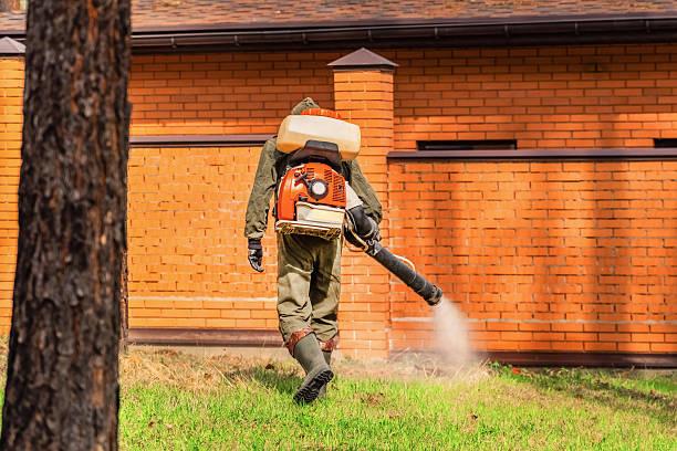 Bed Bug Clearance Verification and Documentation in North Lakeport